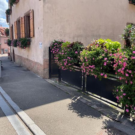 Gite A L'Aigle De Sable Apartamento Kintzheim Exterior foto