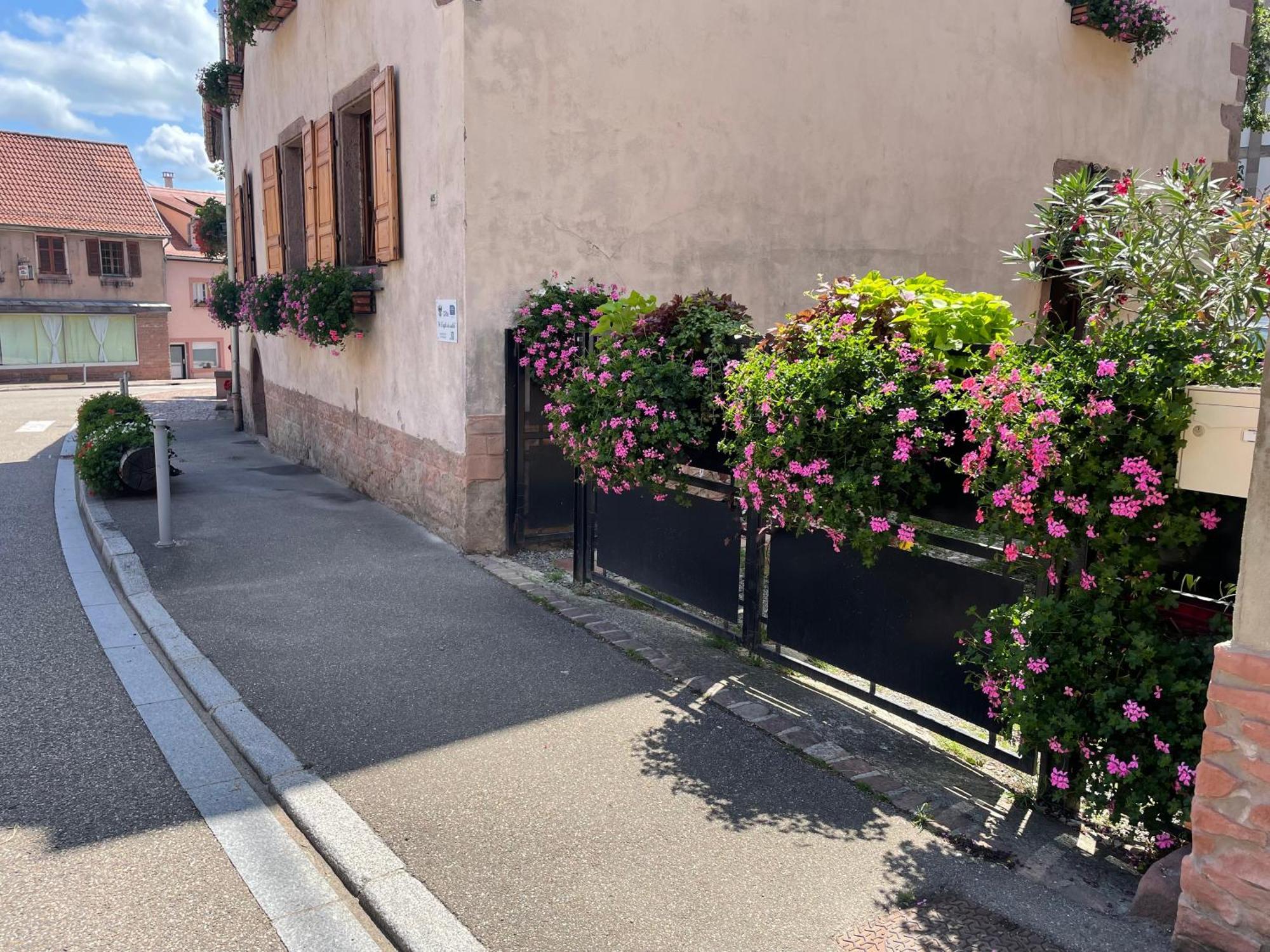 Gite A L'Aigle De Sable Kintzheim Exterior foto