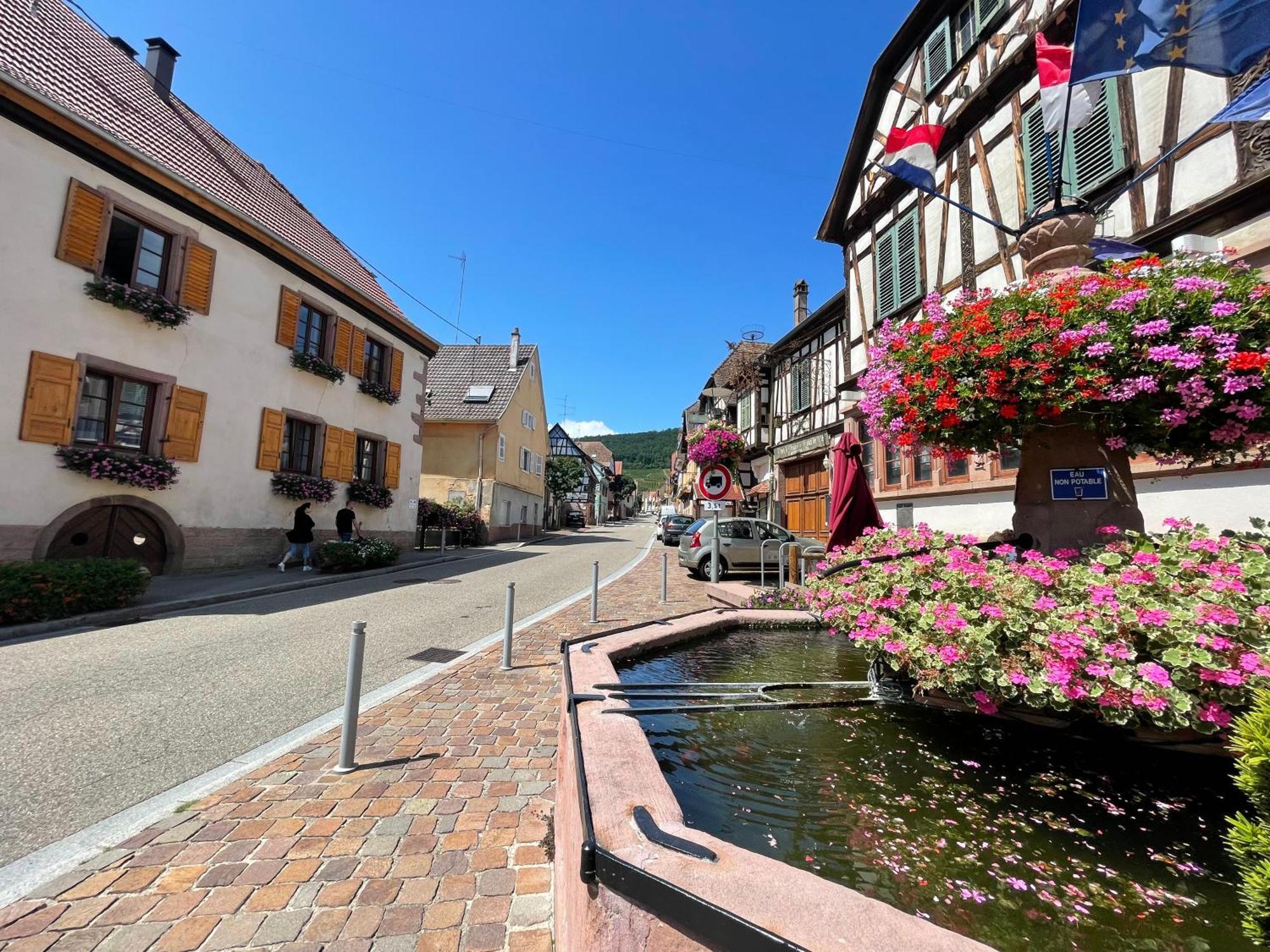 Gite A L'Aigle De Sable Apartamento Kintzheim Exterior foto