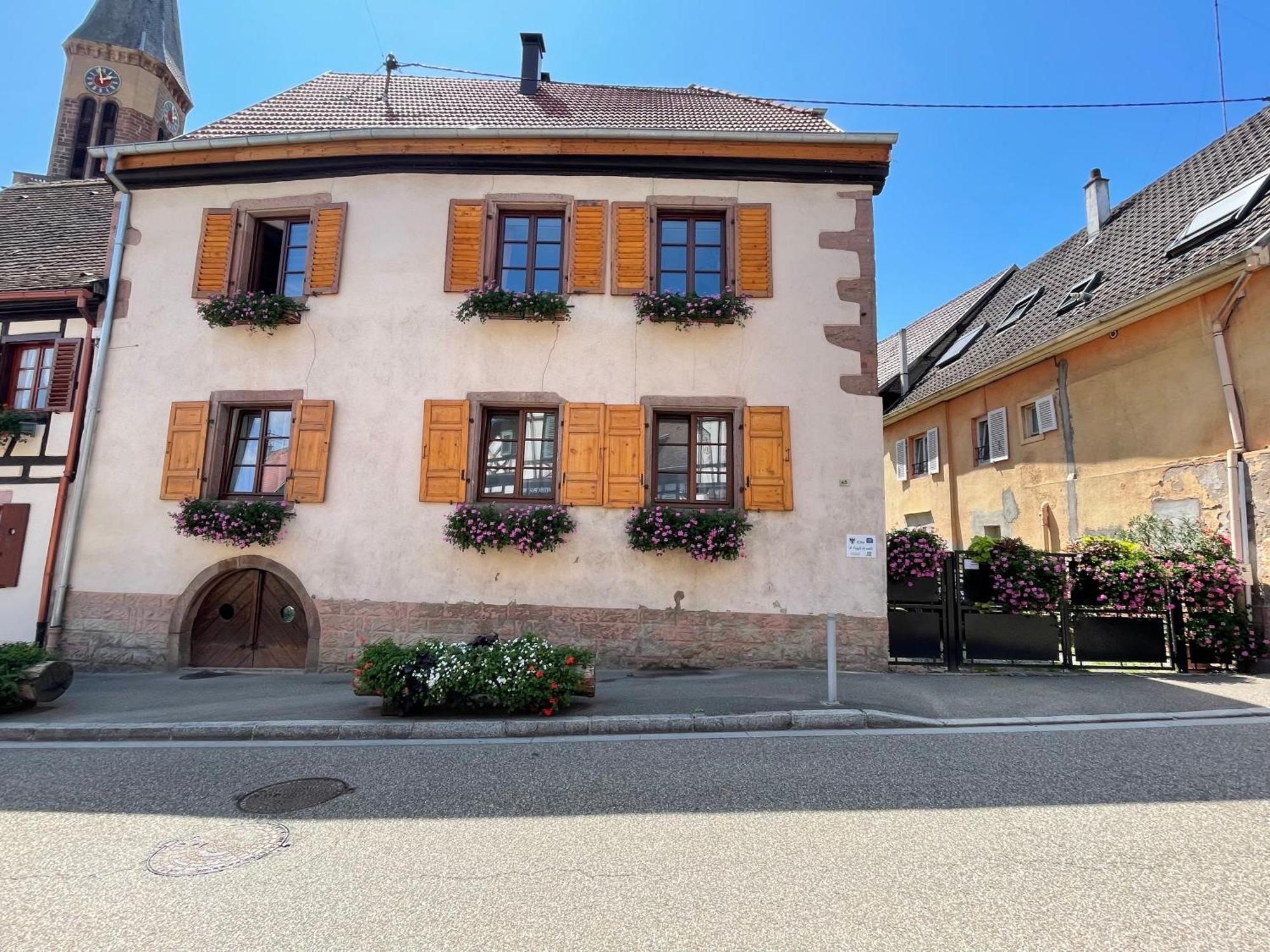 Gite A L'Aigle De Sable Kintzheim Exterior foto