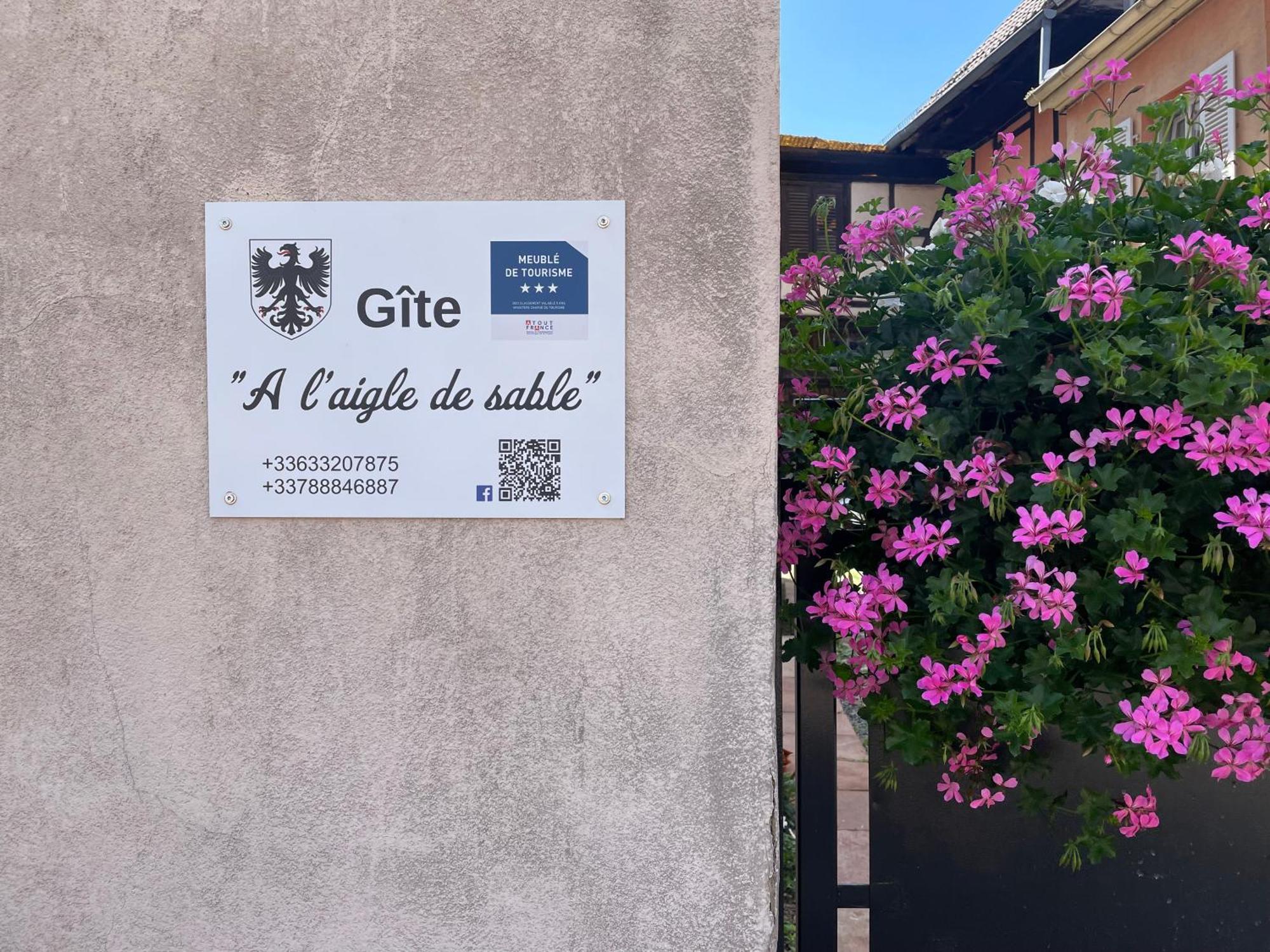 Gite A L'Aigle De Sable Kintzheim Exterior foto